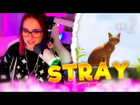 Видео: КСЮША ПРОХОДИТ STRAY #2 - ФИНАЛ