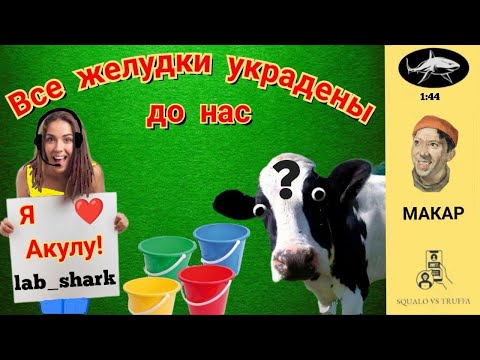 Видео: Телефонное мошенничество . Автор - Макар