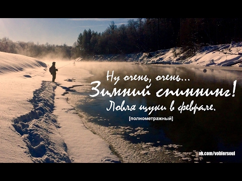 Видео: Зимний спиннинг. Ловля щуки в глухозимье. Джиг в морозный день. 2 февраля 2017 г.