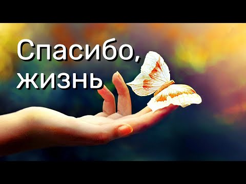 Видео: Спасибо, жизнь, за каждый новый день