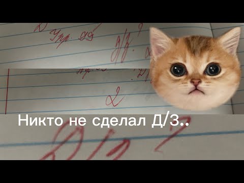 Видео: Проверка тетрадей 2 класс