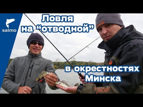 Видео: Ловля на отводной поводок в окрестностях Минска.