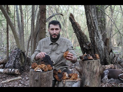 Видео: Выживание в дикой природе I Питание и голодание