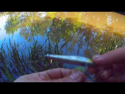 Видео: Ридж 90 от Биркинг, разловлен со второго заброса