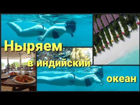 Видео: Мальдивы•Hondaafushi•Чем кормят? Гуляем и  летаем над островом• Страшно, но я это сделала•02/25