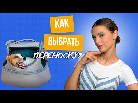 Видео: Как Выбрать Переноску Для Собаки?