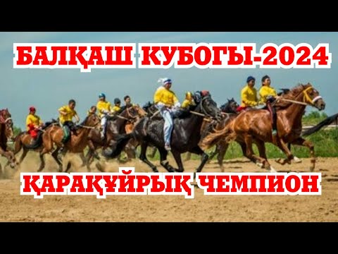 Видео: БАЛҚАШ КУБОГЫ 2024 | ҚАРАҚҰЙРЫҚ ЧЕМПИОН