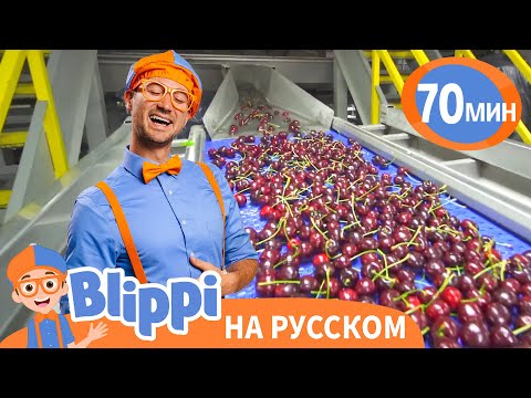 Видео: На Фабрике Вишни | Блиппи на русском