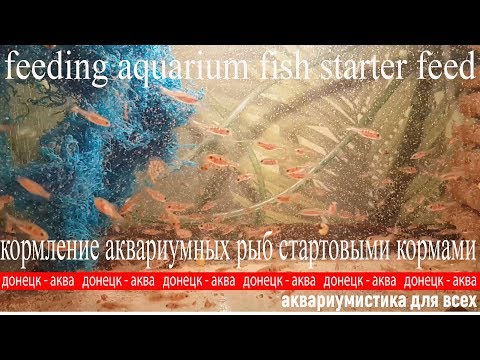 Видео: стартовые корма  для  мальков аквариумных рыб, ಫ್ರೈಗೆ ಆಹಾರ, mata till stek, Amazing idea