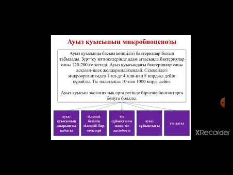 Видео: Микробтар экологиясы. Ауыз қуысының микрофлорасы