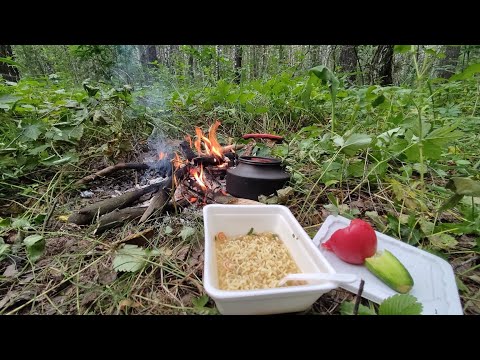 Видео: Гриб монстр и как я заблудился.