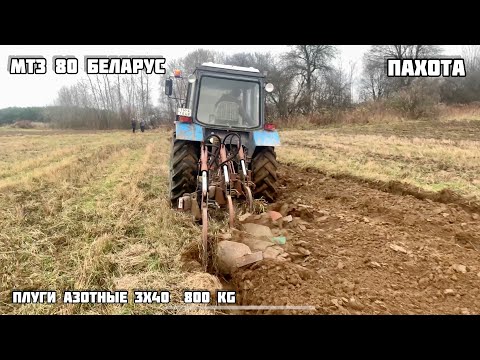 Видео: ПАХОТА ТРАКТОРА МТЗ 80 БЕЛАРУС  плуги 3х40 АЗОТНЫЕ ПАШУТ  КРАСИВО