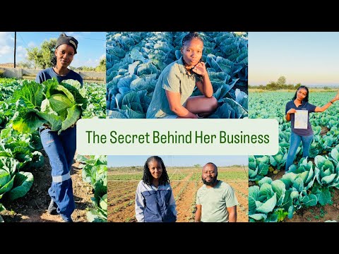 Видео: Как она построила ферму по выращиванию капусты в Лимпопо, Южная Африка 🇿🇦 | wendy moshakgs