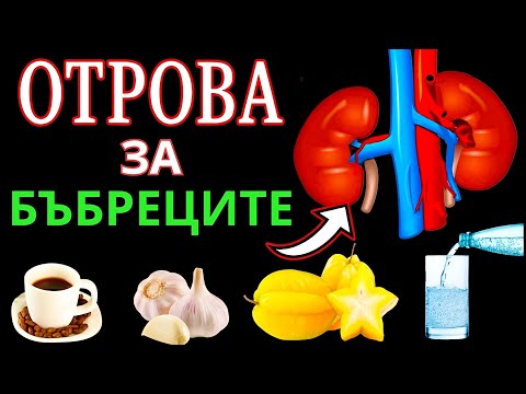Видео: Как да УНИЩОЖИШ бъбреците си | 7 НАЙ-ЛОШИ НАВИКА за БЪБРЕЦИТЕ (Бъбречна недостатъчност)