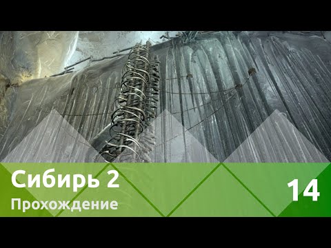 Видео: Прохождение Syberia II (Сибирь 2) — Часть 14: Ягода духов