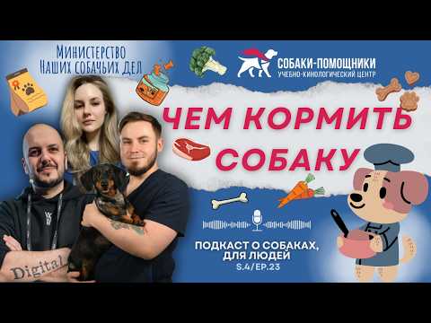 Видео: Чем кормить собаку? Подбор рациона. Мифы и недопустимые диеты.