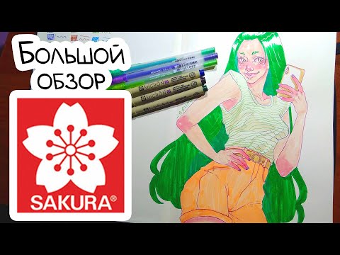 Видео: ЛУЧШИЕ ГЕЛЕВЫЕ РУЧКИ!  Обзор материалов от SAKURA ( Micron, Gelly Roll, Sketchbook )