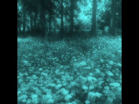 Видео: MATXX, MUROVEI, Zmeysab - Скетчи(dnb remix)