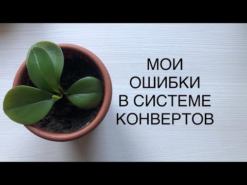 Видео: МОИ ОШИБКИ В СИСТЕМЕ КОНВЕРТОВ. ЧАСТЬ 2)