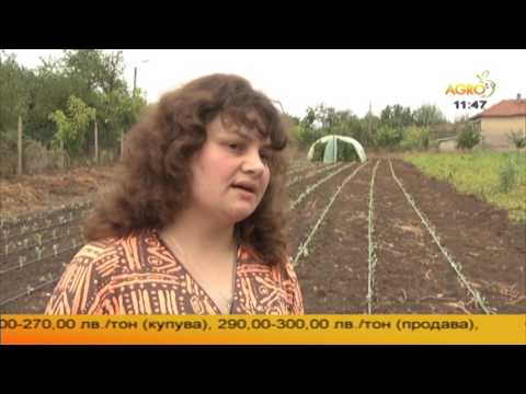 Видео: Защо камъкът си тежи на мястото