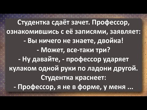 Видео: Студентка Пришла Сдавать Зачет, но Оказалась не в Форме! Сборник Самых Свежих Анекдотов!