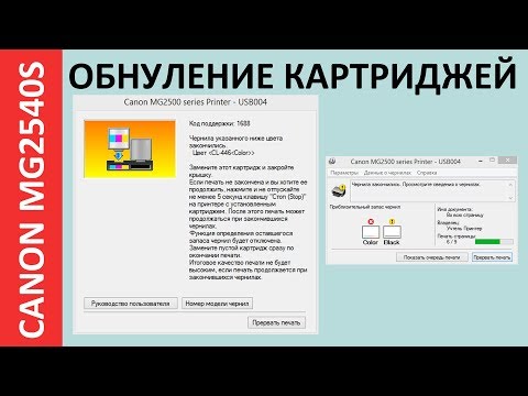 Видео: ОБНУЛЕНИЕ КАРТРИДЖЕЙ CANON MG2540S