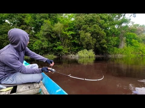 Видео: Потрясающе. Он поймал самую сильную хищную рыбу на маленькую удочку