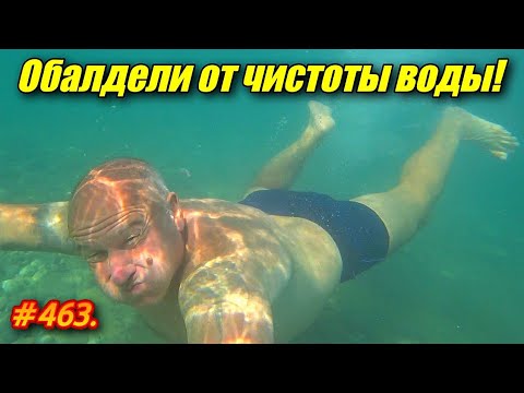 Видео: ЛАЗАРЕВСКОЕ 2024. ОБАЛДЕЛИ ОТ ЧИСТОТЫ ВОДЫ. ОТДЫХ НА МОРЕ.