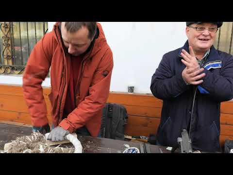 Видео: 1 Е Литвин К390