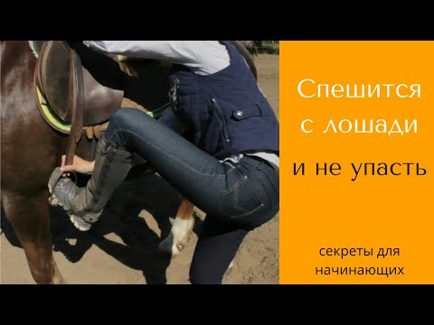 Видео: Как слезть с лошади и не упасть? / Спешиваемся с лошади / Дивные Кони