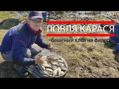 Видео: Бешеный клев карася весной на фидер