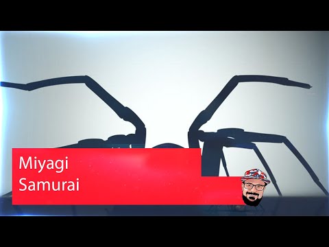 Видео: 🖖🏻 Иностранец реагирует на Miyagi - Samurai