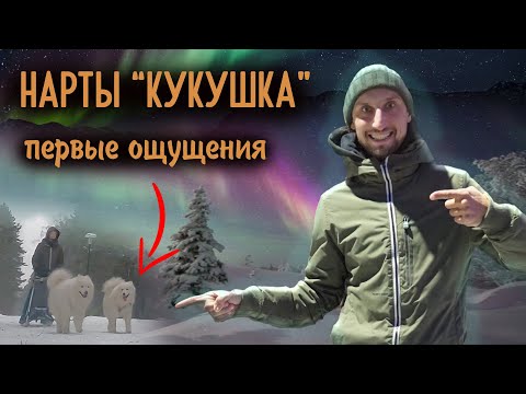 Видео: ТЕСТ НАРТ ШАМАН (КУКУШКА)  /  САМОЕДЫ В ЗАВИДОВО