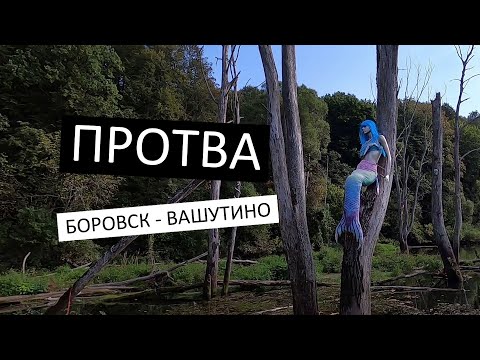 Видео: Сплав по Протве | Боровск - Вашутино | 23 км | #sup