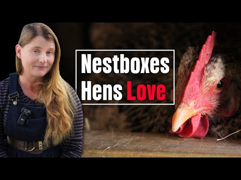 Видео: Простые трюки с гнездами, которые понравятся вашим курам