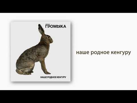 Видео: ГРОМЫКА - Наше родное кенгуру