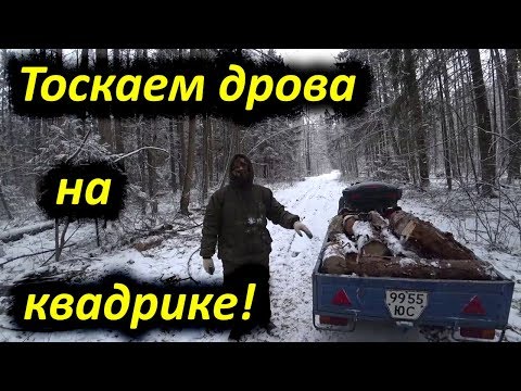 Видео: Тоскаем дрова на квадроцикле!