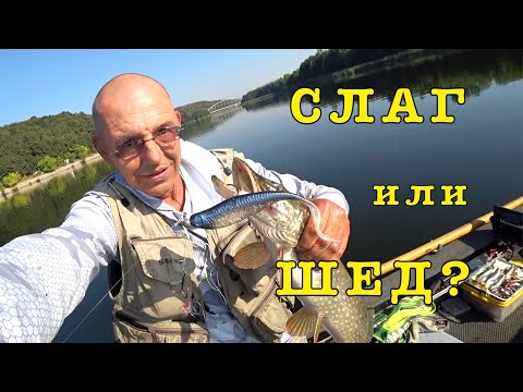 Видео: ЩУКА на СЛАГИ. Поймал без ПАНОПТИКСА.