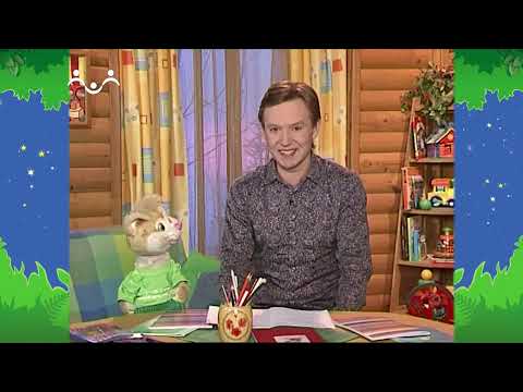 Видео: Вечер в Шишкином Лесу. Быт. Особенный Коксик