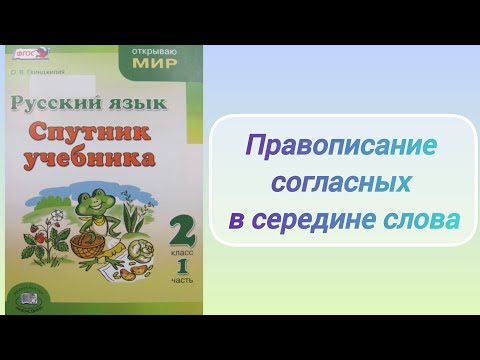 Видео: Правописание согласных в середине слова (2 кл.)