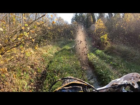 Видео: новые тропинки 121024