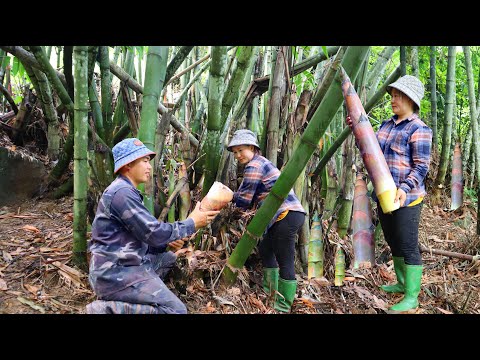 Видео: Собираем гигантские побеги бамбука, Обрабатываем и сохраняем на долгие месяцы | Живи с природой