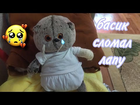 Видео: басик сломал лапу🥺