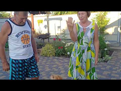 Видео: ДУШЕВНО ПОСИДІЛИ..