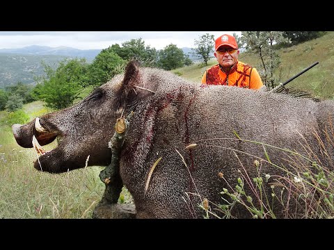 Видео: СРАЖАЙТЕСЬ С ГИГАНТСКИМИ МОНСТРАМИ! Фермеры и охотники сражаются с гигантскими чудовищными кабанами.