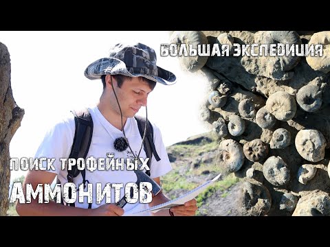 Видео: Нашли ОГРОМНЫЕ залежи АММОНИТОВ| Краткий экскурс по стратиграфии| Экспедиция с палеонтологами