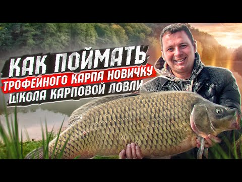 Видео: Ловля трофейного КАРПА от А до Я. Карпфишинг для новичков!