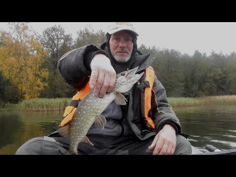 Видео: Вяча. Ловля осеннего хищника. Рыбалка в Беларуси.