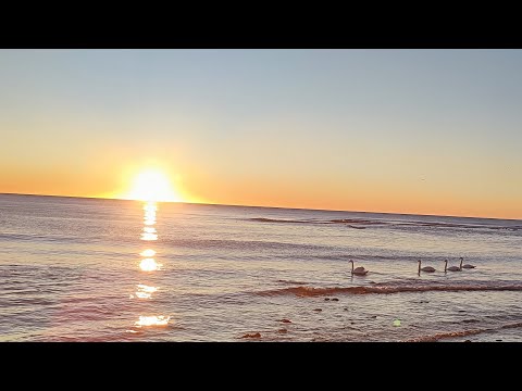 Видео: Любов'ю вічною він полюбив нас!