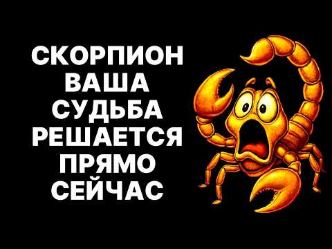 Видео: 😱🦂СКОРПИОН: ВАШ ЛИЧНЫЙ АД НАЧАЛСЯ. 🔴Пройди его, чтобы получить ВСЁ❗